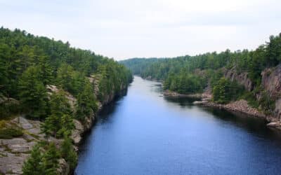 BIOMAE : Une 1ère en France en matière de biosurveillance