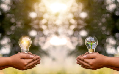 BeeBryte, un acteur du domaine de l’énergie