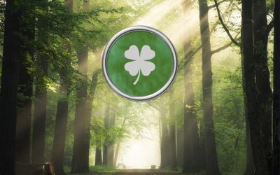 1 – Tout est encore possible