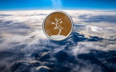 5 – Préserver la terre et les insectes