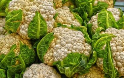 TOUT SUR LE CHOU-FLEUR