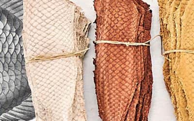 LEATHER FROM SEAFOOD WASTE