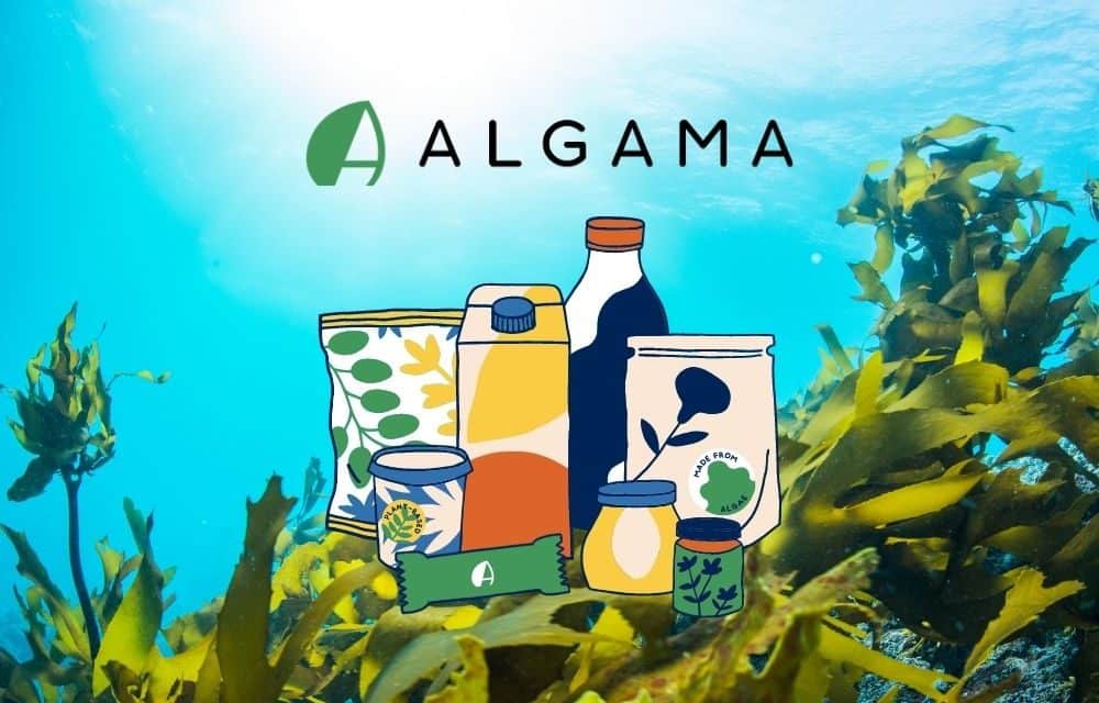 MAKE YOUR DIET HEALTHIER with algae!