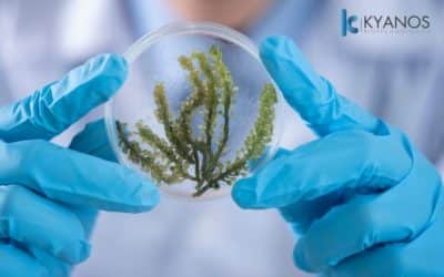 MICROALGAE TO SAVE THE PLANET