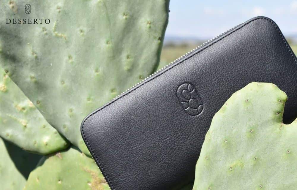 All You Need To Know About Vegan Cactus Leather