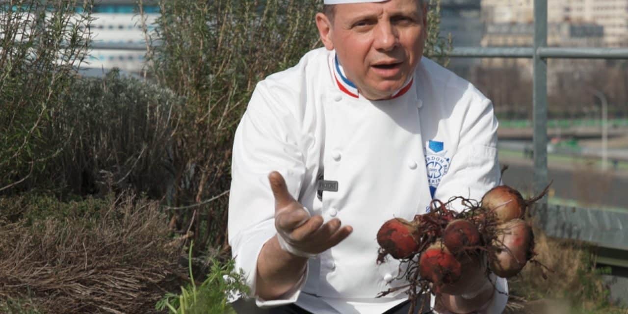 Choose your beet well with Éric Briffard