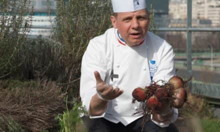 Choose your beet well with Éric Briffard