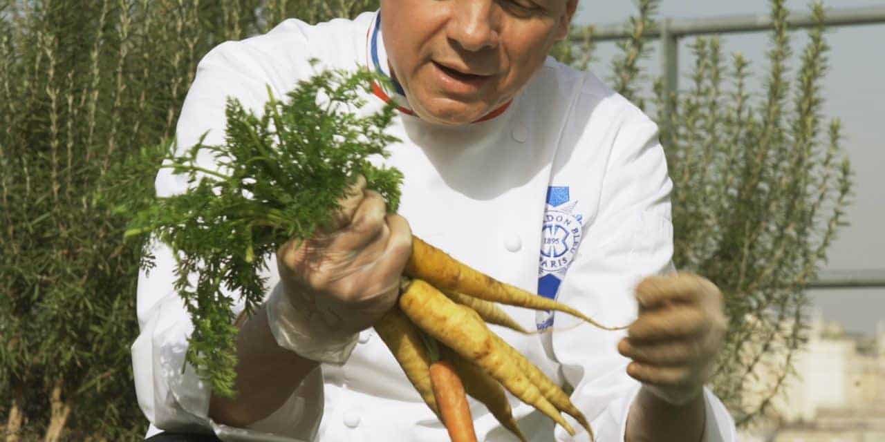 HOW TO CHOOSE CARROTS ? WITH CHEF ERIC BRIFFARD