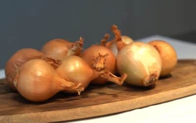 How to choose onions with Toshitaka Omiya