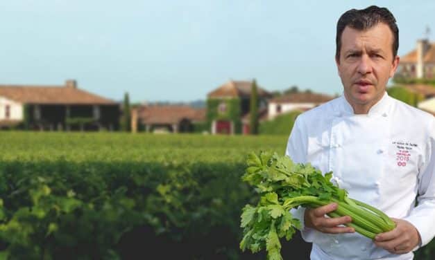 Bien choisir son céleri-branche avec Nicolas Masse