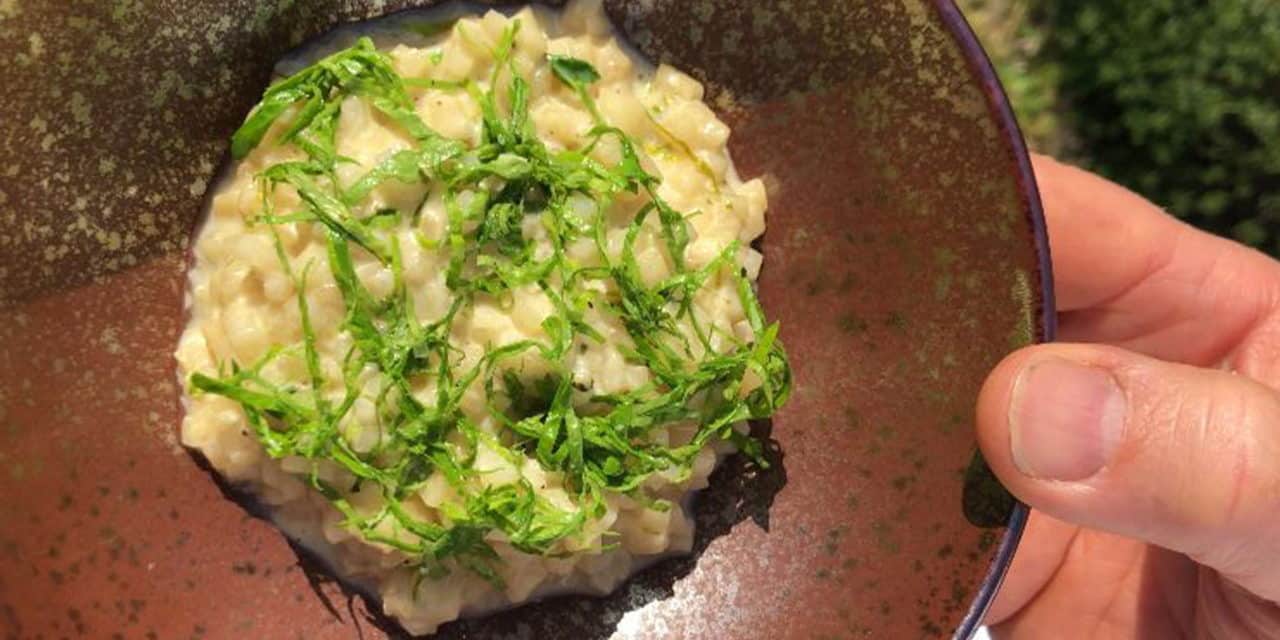 Celeriac Risotto by Nicolas Masse