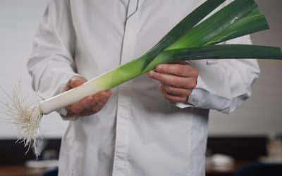 Bien choisir ses poireaux avec Gaël Orieux