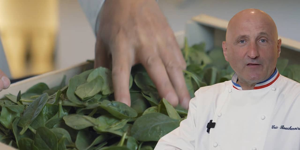 How to choose spinach with Eric Bouchenoire