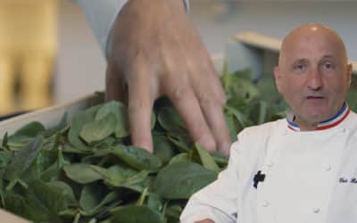 Bien choisir ses épinards avec Eric Bouchenoire