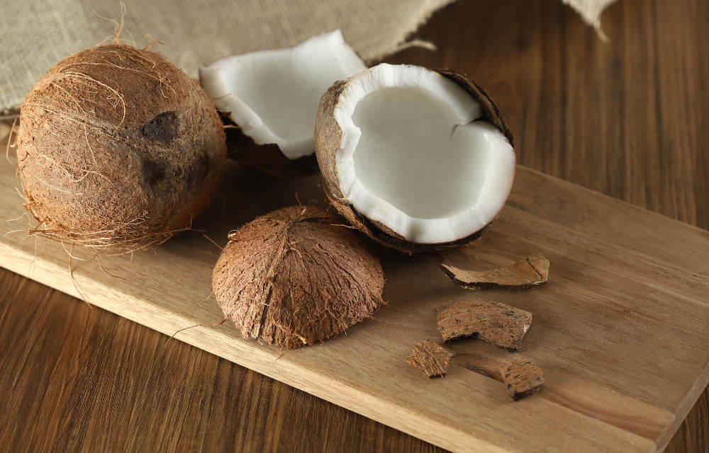 Des noix de coco pour des palettes écologiques