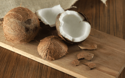 Des noix de coco pour des palettes écologiques