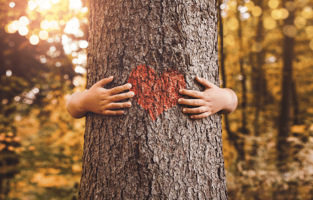 Le retour à la nature : Bienfaits