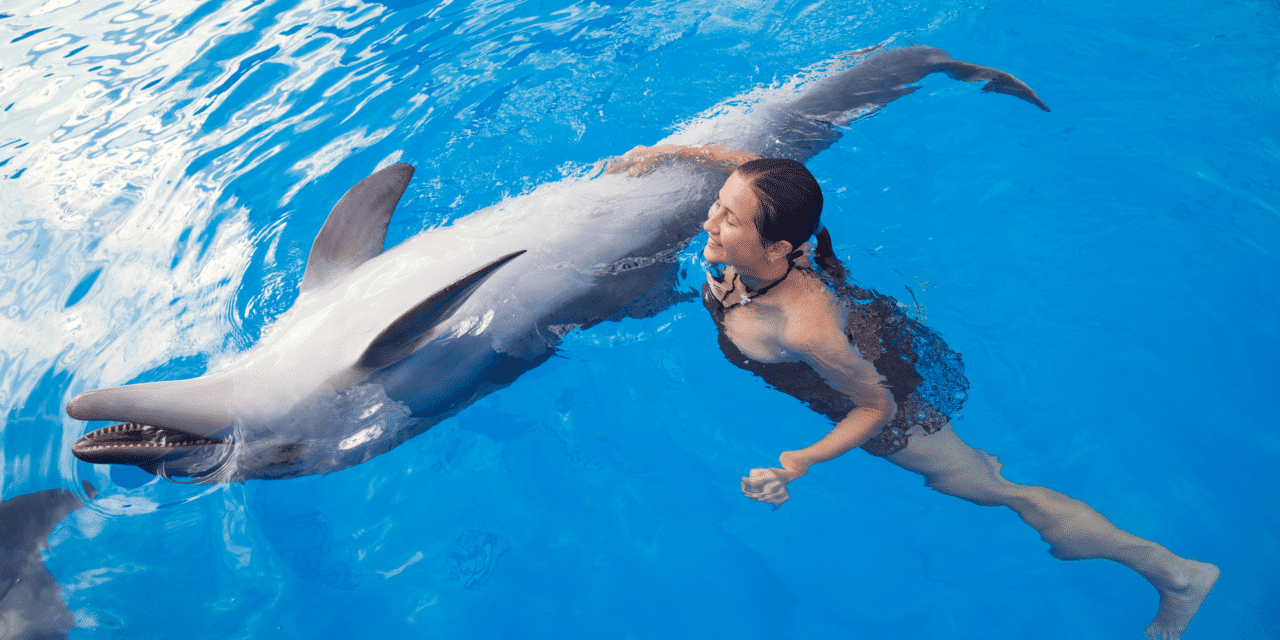 Dolphin Assisted Therapy