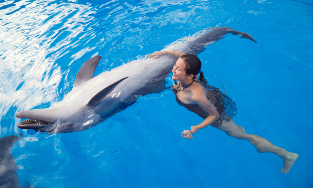 Dolphin Assisted Therapy