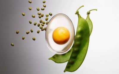 Une merveilloeuf idée