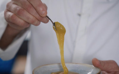Le miel : La touche du chef Gaël Orieux
