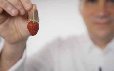 Bien choisir ses fraises avec Gäel Orieux
