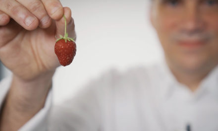 Bien choisir ses fraises avec Gäel Orieux