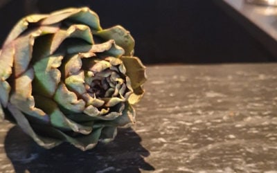 Bien choisir ses artichauts avec Irwin Durand