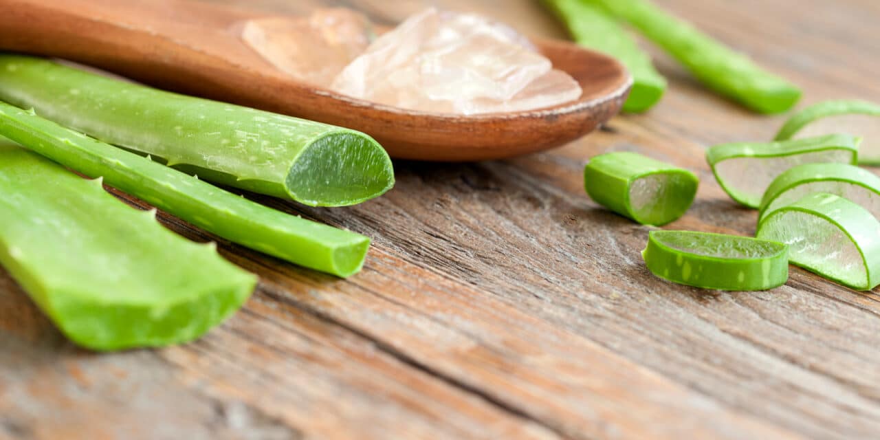 The 3 unsuspected virtues of aloe vera