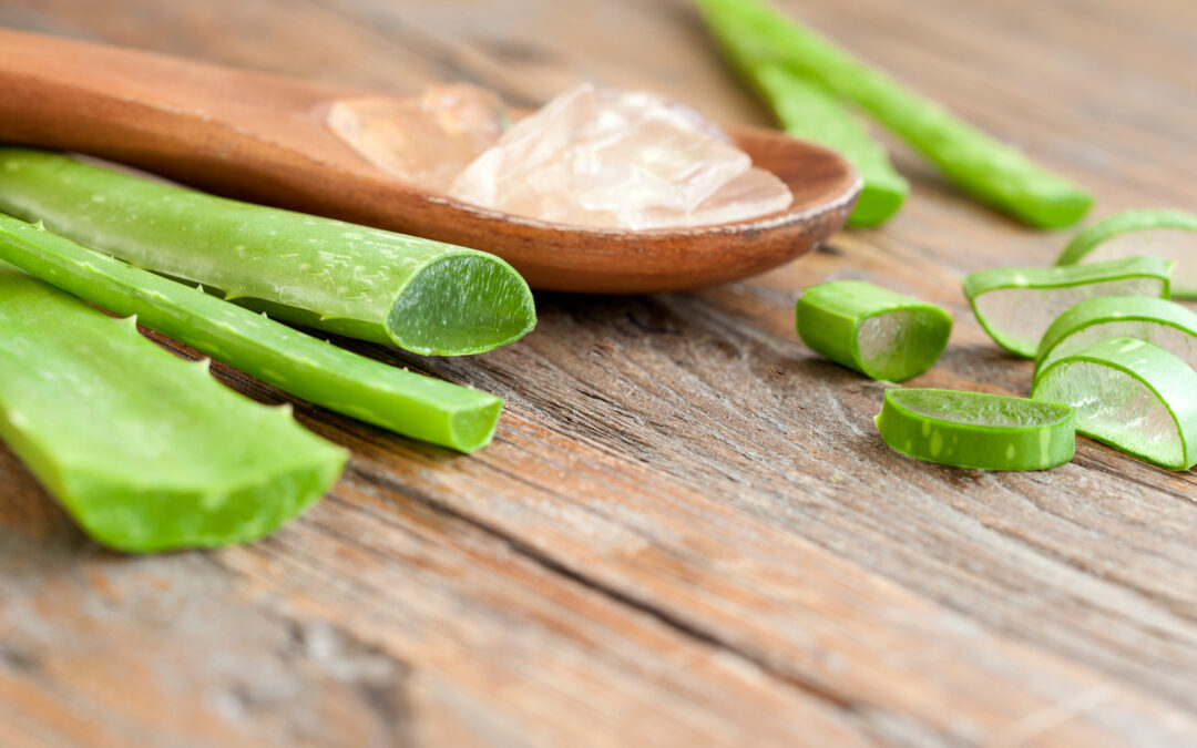 Les 3 vertus insoupçonnées de l’aloe vera