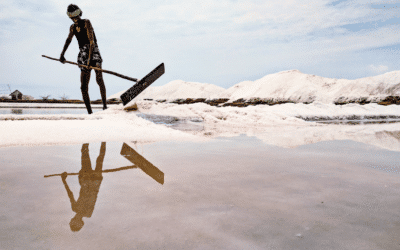 Adionics: the ocean desalination startup