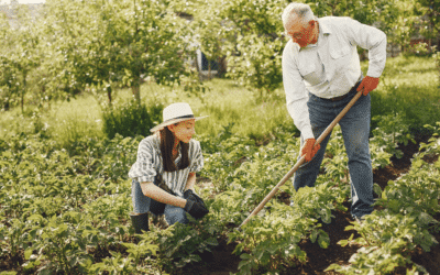 Nos 7 conseils pour entretenir son jardin face aux grandes chaleurs