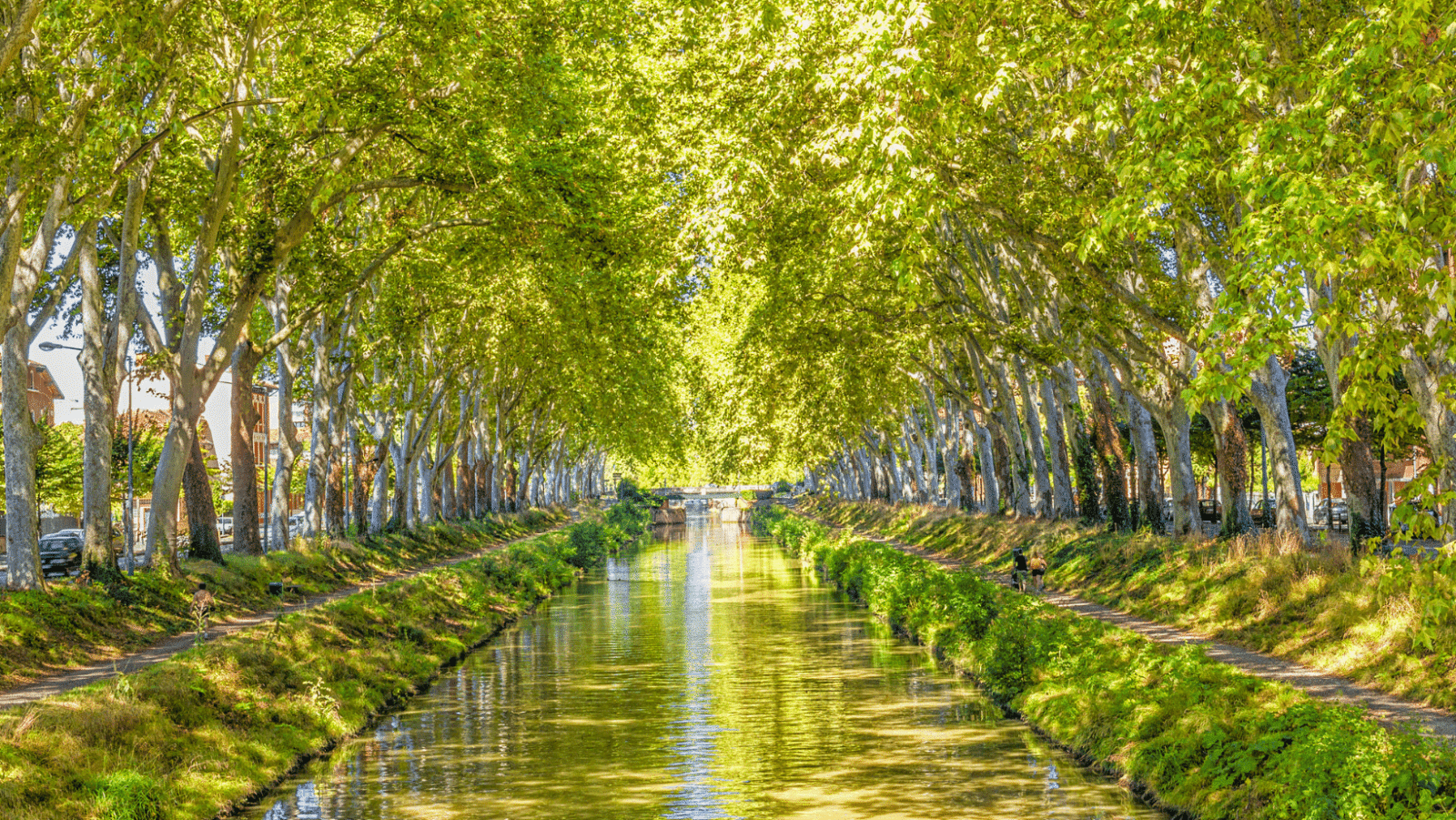 Irrigation canals Inca