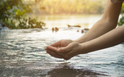 Kumulus : la start-up qui transforme l’air en eau potable