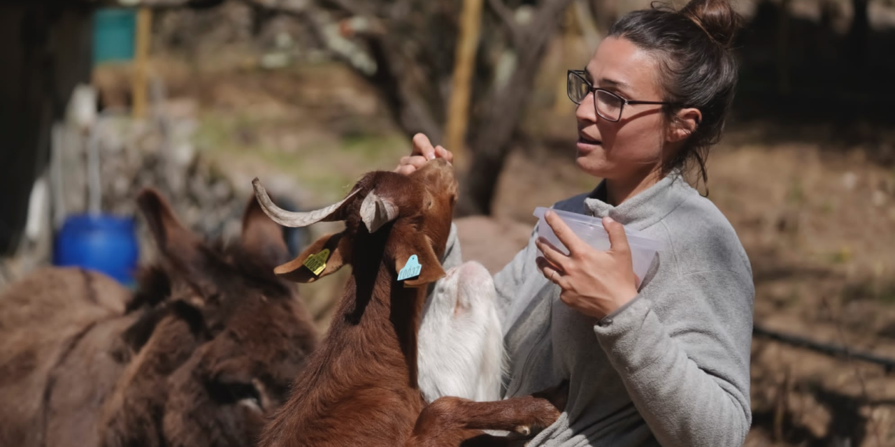 The little farm of the gaudina, The Heart on the Paw : respect for the environment !