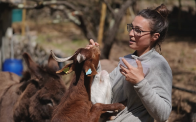 The little farm of the gaudina, The Heart on the Paw : respect for the environment !