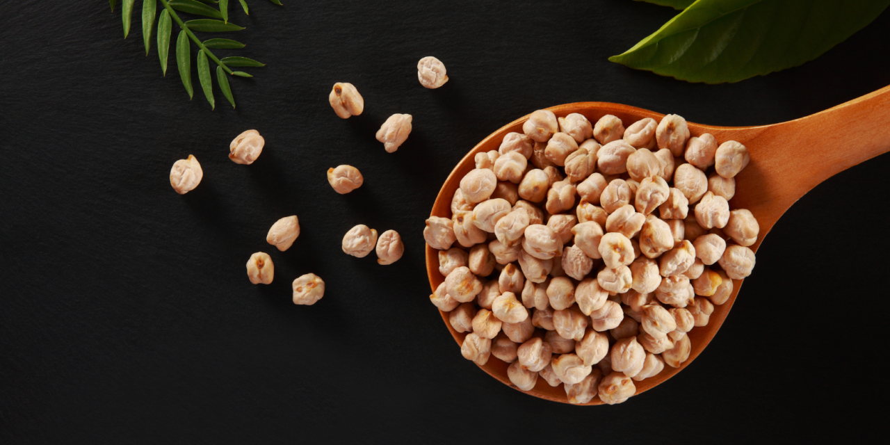 The chickpea : a vegetable that adapts to new climatic conditions