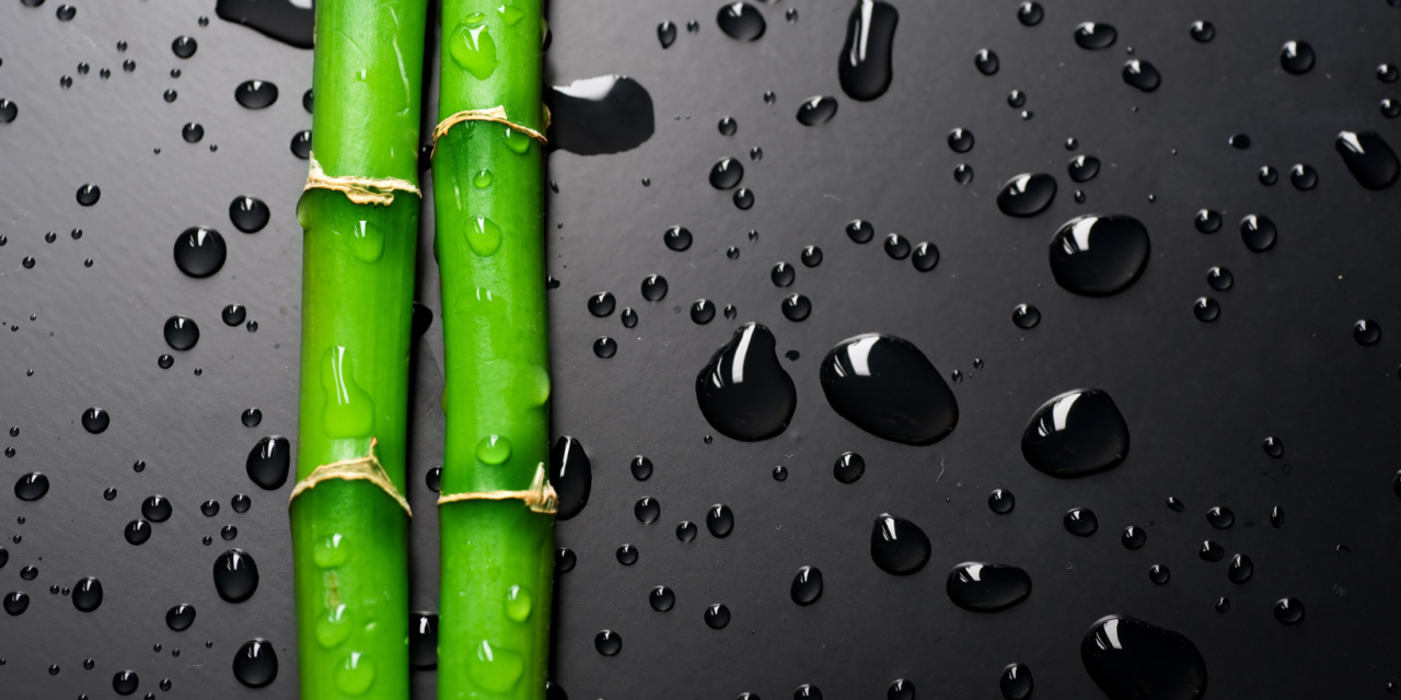 Le bambou : les objets qui vous rendent éco-responsable 