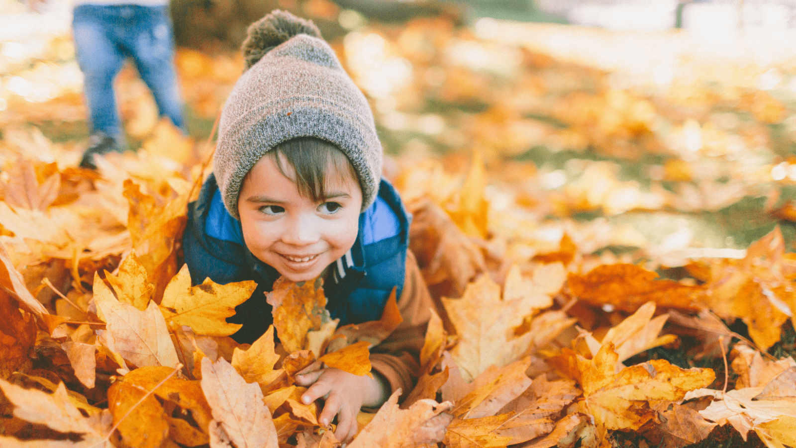 dead leaves