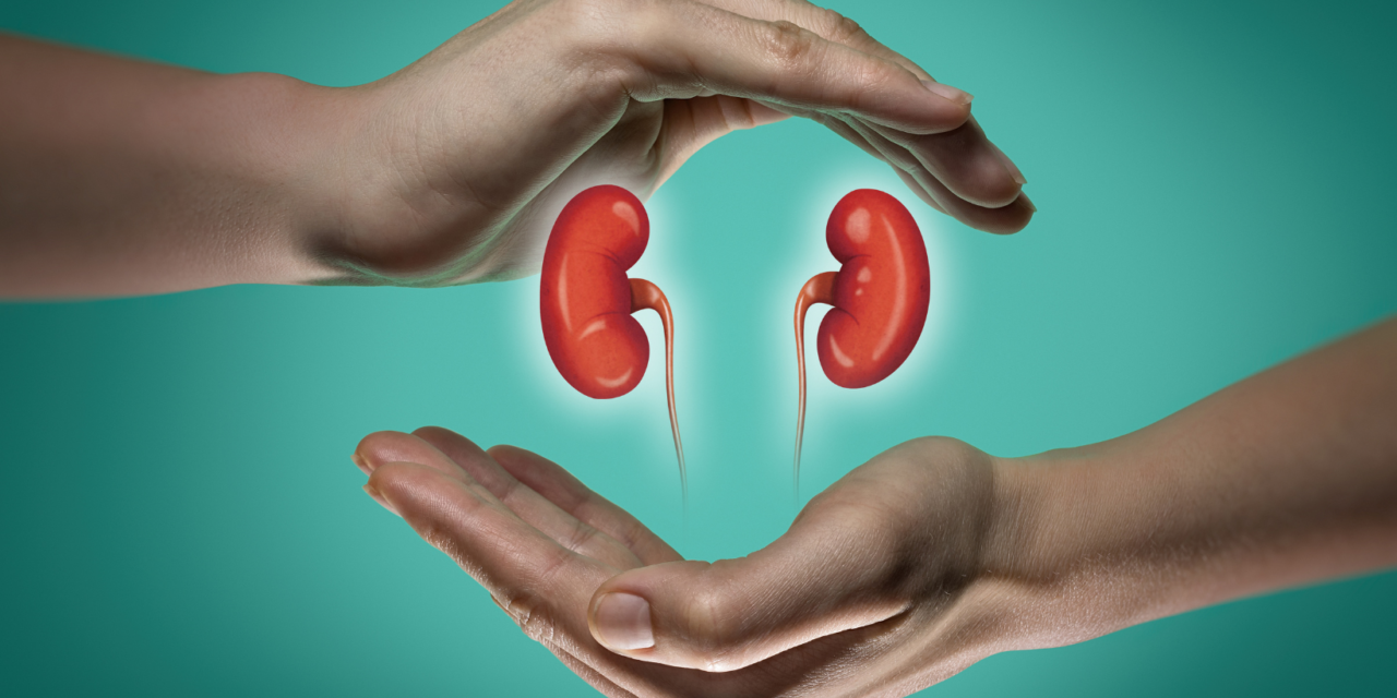 5 foods to take care of your kidneys