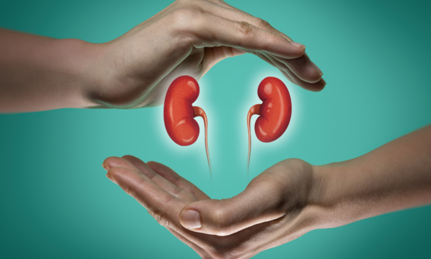 5 foods to take care of your kidneys