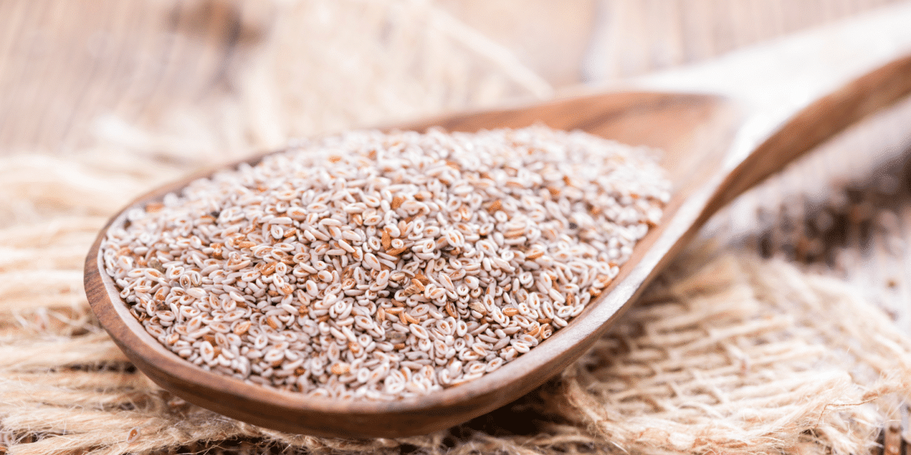 Le psyllium : Une alimentation remplie de vertus