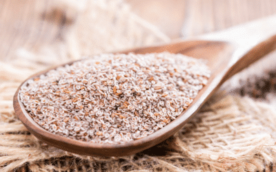 Le psyllium : Une alimentation remplie de vertus