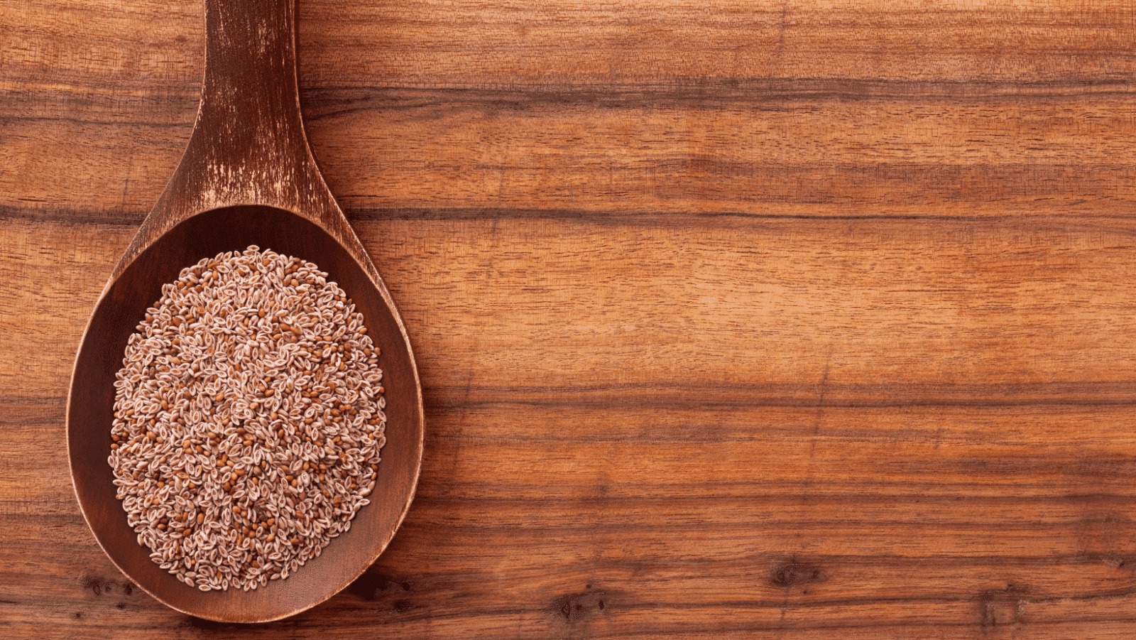 Comment est composé le psyllium ? - Tout savoir sur le Psyllium