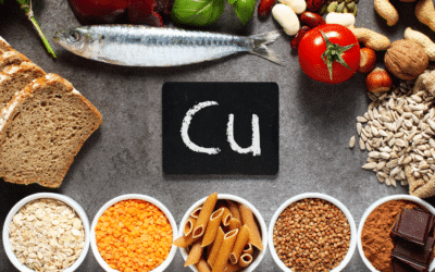 Les aliments pour faire le plein de cuivre