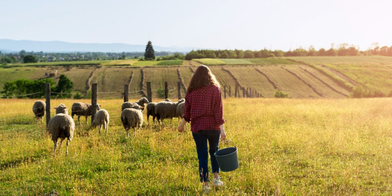 Les fermes bio locales : Un atout pour la biodiversité et l’économie régionale