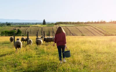 Les fermes bio locales : Un atout pour la biodiversité et l’économie régionale