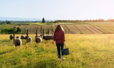 Les fermes bio locales : Un atout pour la biodiversité et l’économie régionale