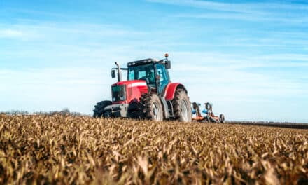 L’agriculture régénérative : Restaurer les sols pour une production alimentaire durable