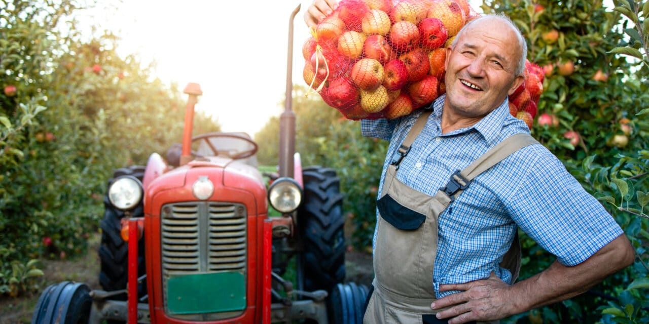 La transition agroécologique : bâtir l’agriculture et l’alimentation de demain